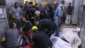 Israel Gempur Kamp Pengungsi di Gaza, 8 Orang Dilaporkan Tewas