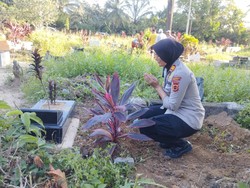 Bayi Perempuan yang Ditemukan di Panti Sosial Jambi Meninggal Dunia