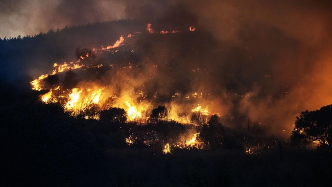 Gelombang panas terjadi di sejumlah negara di Eropa, sebabkan ribuan orang mengungsi hingga kebakaran hutan di mana-mana.