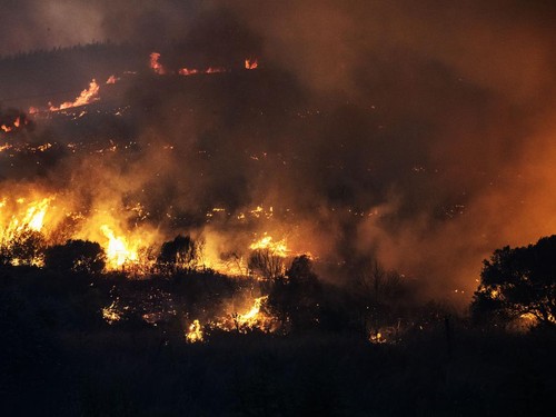 Eropa Diterjang Gelombang Panas, Kebakaran Hutan di Mana-mana