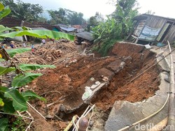 Talut Setinggi 7 Meter di Banjarnegara Longsor Timpa Pengolahan Kayu
