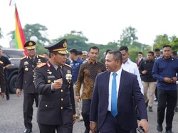 Sah! Gajah Tesso Nilo Domang dan Tari Jadi Warga Kehomatan Riau