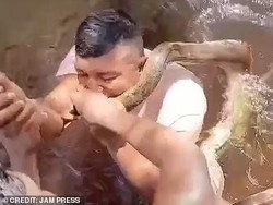 Insiden Langka Pria Ini Gigit Anaconda Raksasa di Amazon