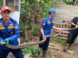 Saat Sang Raja Menyusup dan Bikin Siti Ketakutan