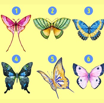 Tes Kepribadian: Gambar Kupu-kupu yang Kamu Pilih Bisa Ungkap Sifat Tersembunyi