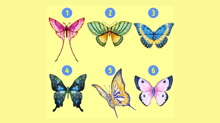 Tes Kepribadian: Gambar Kupu-kupu yang Kamu Pilih Bisa Ungkap Sifat Tersembunyi