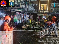 Pohon Tumbang Timpa Kios dan Motor di Jaksel gegara Hujan-Angin Kencang