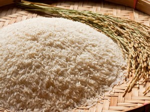 5 Cara Membedakan Beras Asli dan Oplosan, serta Bahayanya untuk Kesehatan Jangka Panjang!