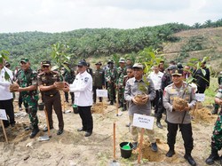 Ratusan Hektare Lahan TNTN yang Dikembalikan Warga Akan Ditanami Pohon