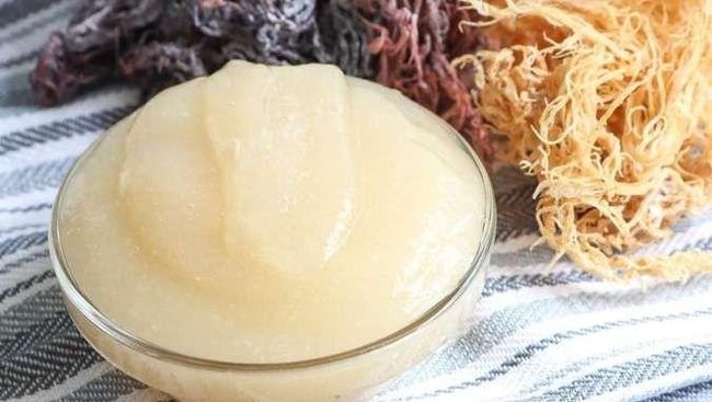 Viral Sea Moss Gel Disebut Kaya Nutrisi, Apa Itu?