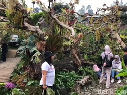 Daya Tarik Wisata Dusun Kuliner Kota Batu Bak Negeri Dongeng