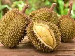 Legit dan Berkhasiat! 5 Manfaat Konsumsi Durian Menurut Ahli Kimia