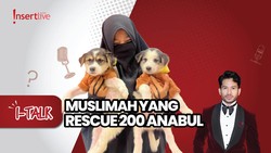 Rawat 200 Anabul, Hesti Yusuf Muslimah yang Lawan Stigma-Duka