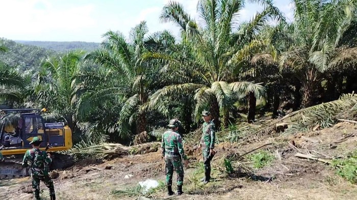 Proses penertiban lahan di kawasan TNTN, Riau. (Dok Satgas PKH)