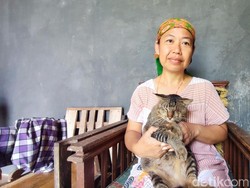 Aksi Heroik Bocil Selamatkan Siti dari Serangan Raja Ular di Kamar