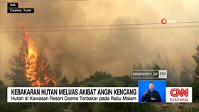 VIDEO: Kebakaran Hutan Meluas Akibat Angin Kencang di Turki