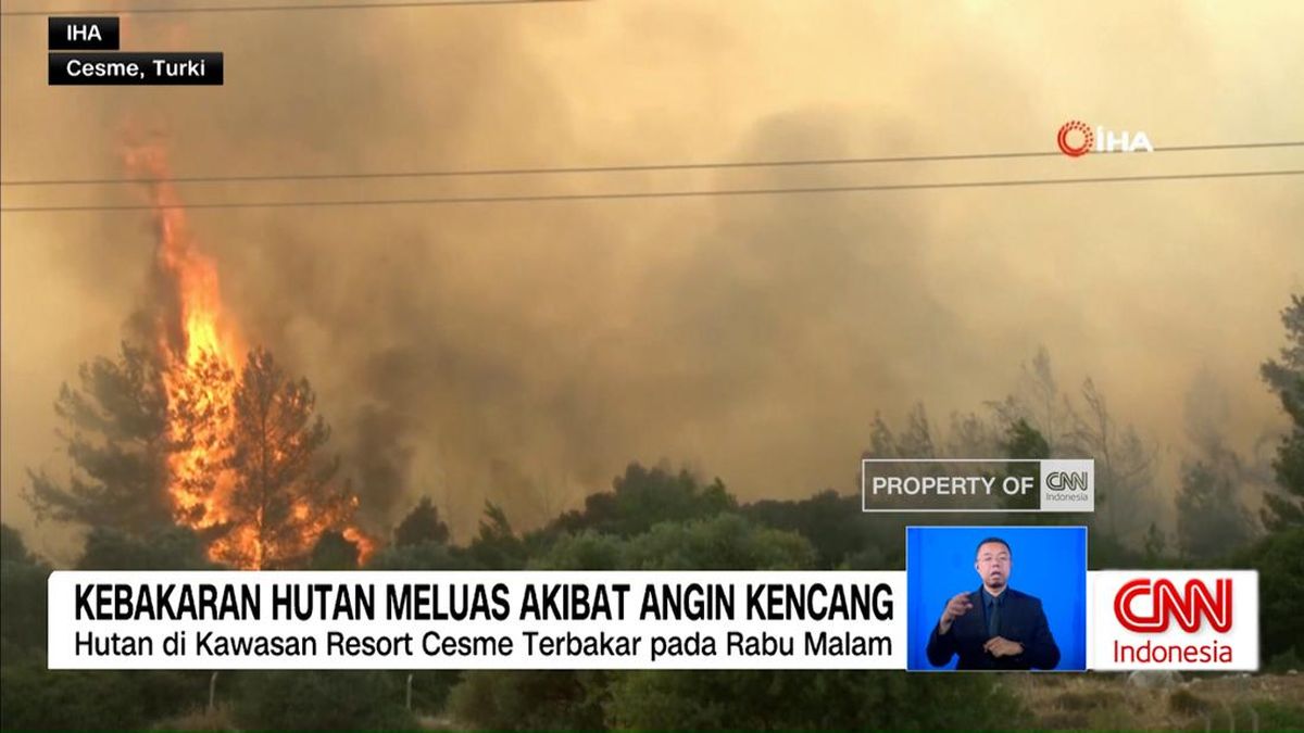 VIDEO: Kebakaran Hutan Meluas Akibat Angin Kencang di Turki