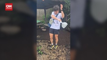 VIDEO: Penampakan Jutaan Lovebugs Serbu Korsel bak Film Horor