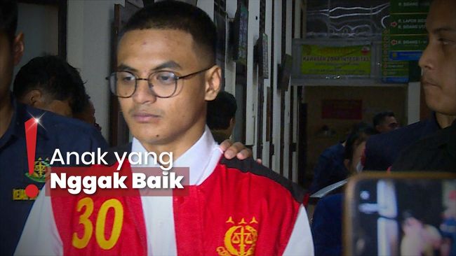 Ketemu Nikita saat Sidang, Vadel Badjideh Langsung Minta Maaf