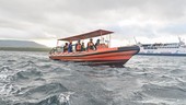 Fakta-fakta Terbaru Pencarian Korban Kapal Tenggelam di Selat Bali