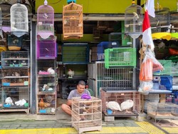 66 Pedagang Burung di Barito Jaksel Dipindah ke Lenteng Agung Bulan Depan