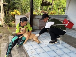 1.098 Kasus Gigitan Anjing di Karangasem Selama 6 Bulan, 28 Positif Rabies