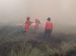Kebakaran Lahan di Ogan Ilir Diduga Disengaja, Pelaku Diburu