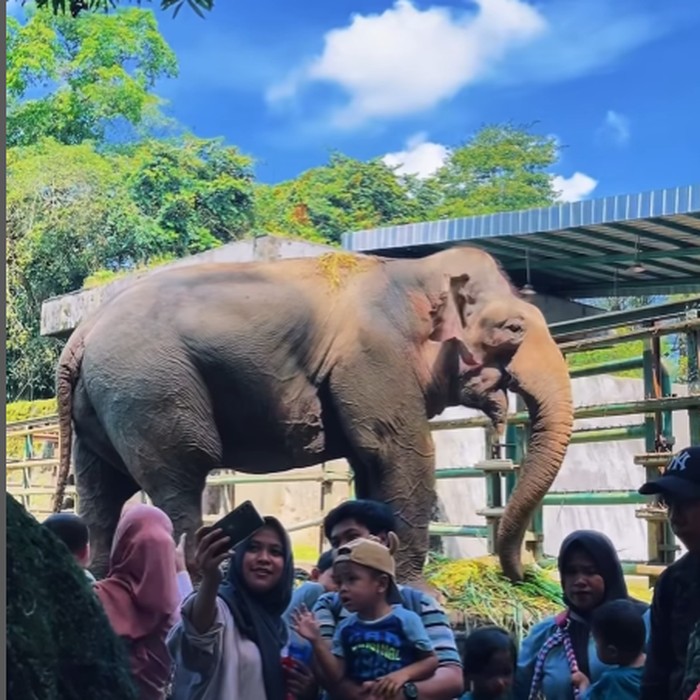Taman Margasatwa Ragunan/Foto: instagram.com/ragunanzoo Taman Margasatwa Ragunan/Foto: instagram.com/ragunanzoo