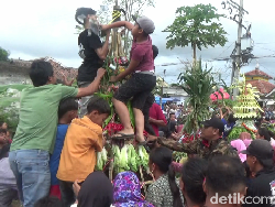 25 Gunungan Hasil Bumi Ludes Diperebutkan Warga Desa Nguter Lumajang