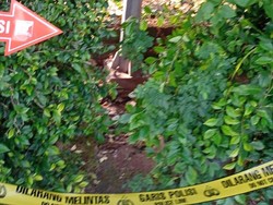 Kondisi Bocah Ditemukan Tewas di Jaksel: Perut, Dada, hingga Pipi Gosong