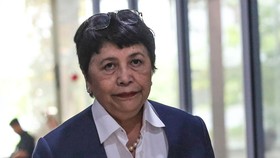 Profil Calon Dubes RI untuk Jepang Nurmala Sjahrir, Adik Luhut