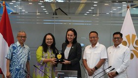 Yayasan Matauli Temui Wamen P2MI, Bahas Peluang Sektor Kelautan Global