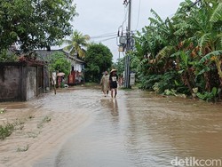Hujan Deras-Sungai Meluap, Banjir Rendam Sejumlah Wilayah di Jembrana
