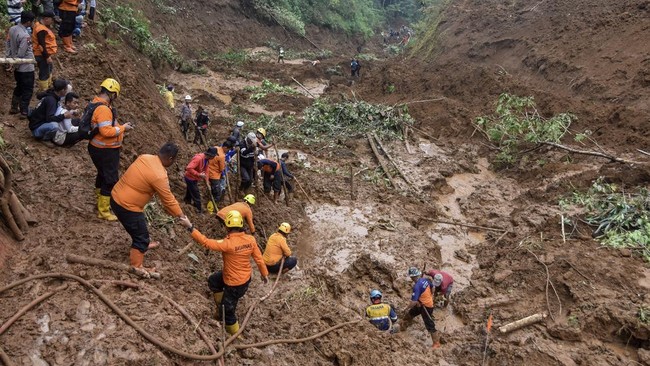 Puluhan Rumah Dilaporkan Rusak Akibat Longsor di Raja Ampat Bencana tanah longsor melanda Waisai, Raja Ampat, akibat hujan deras. BNPB laporkan 29 rumah dan 1 fasilitas ibadah rusak. Warga diminta waspada.