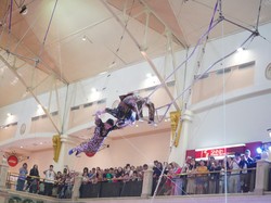 Terbang Tanpa Takut! Flying Trapeze Bertema Jungle Siap Jadi Tempat Liburan