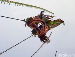 Layangan Naga 100 Meter Meliuk di Pantai Ketawang Indah Purworejo