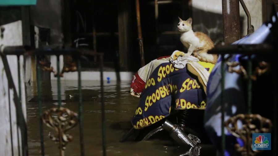 Sejumlah penduduk melintas di tengah banjir di RW 06 Jatipadang, Jakarta Selatan, (6/7/2025). (librosfullgratis.com/Muhammad Sabki)