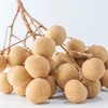 Kecil tapi Kaya Manfaat! Ini 5 Khasiat Kelengkeng untuk Kesehatan Tubuh