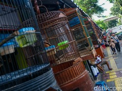 Pemkot Jaksel Sosialisasi Relokasi Pasar Burung Barito Pekan Ini