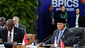 Hadiri Pleno KTT BRICS, Prabowo Tegaskan Sikap RI Tolak Standar Ganda