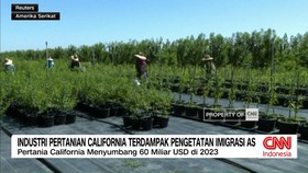 VIDEO: Industri Pertanian California Terdampak Pengetatan Imigrasi AS