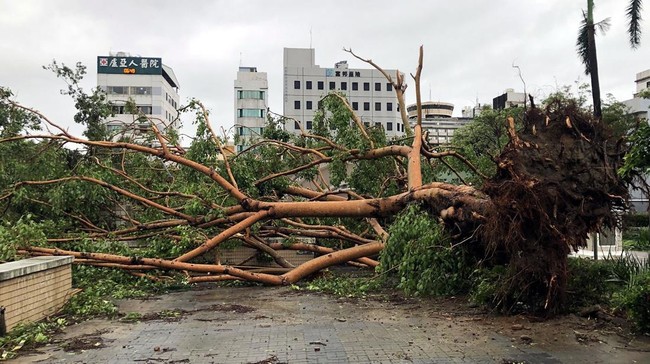 Topan ganas Danas 'mengamuk' di wilayah selatan Taiwan pada Senin (7/7) dini hari dengan angin kencang dan hujan deras.