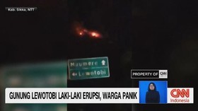 VIDEO: Gunung Lewotobi Laki-Laki Erupsi, Warga Panik