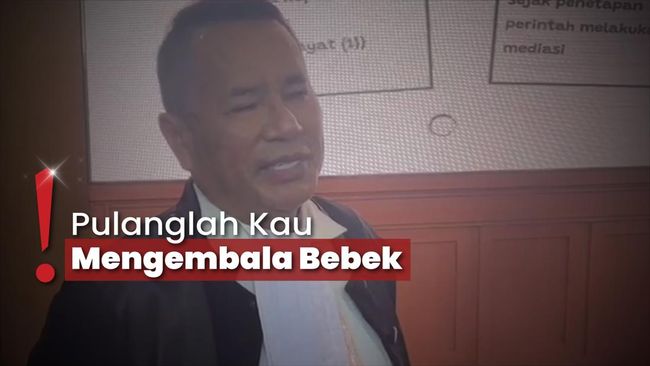 Hotman Paris Sebut Karier Razman Sebagai Pengacara Sudah Tamat