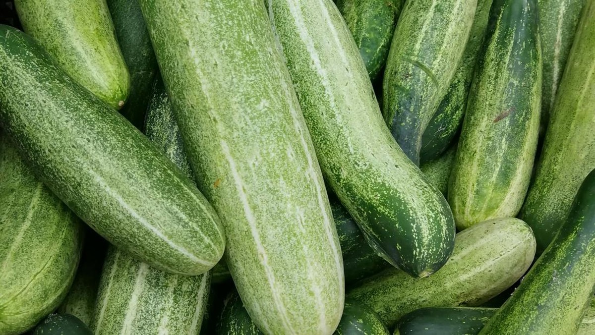 Ternyata Tiga Makanan Ini Bagus Buat Ginjal