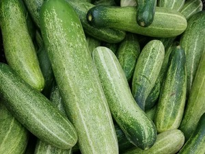 3 Jenis Makanan yang Dapat Meningkatkan Fungsi Ginjal