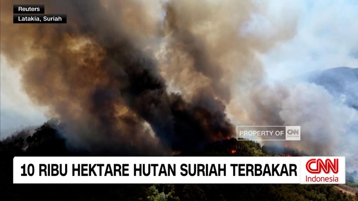 VIDEO: 10 Ribu Hektare Hutan di Suriah Terbakar