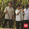 Gibran Minta Pelaku Pembakaran Hutan Ditindak Tegas
