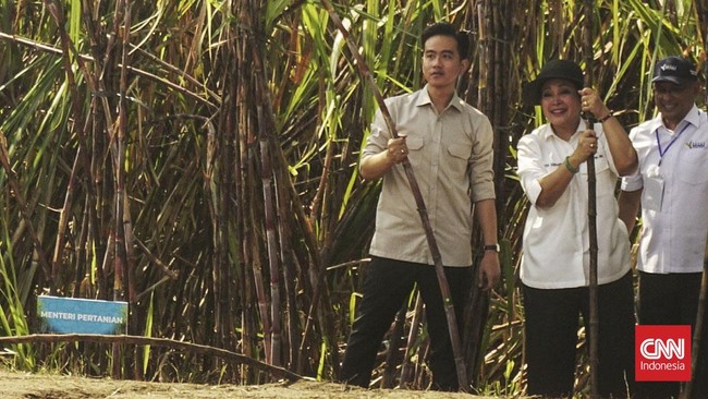 Wakil Presiden Gibran Rakabuming siap berkantor di IKN dan menangani persoalan Papua. Ia menunggu perintah dari Presiden Prabowo untuk tugas tersebut.