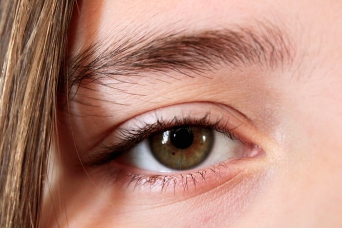 Kandungan vitamin A, lutein, dan zeaxanthin dalam peterseli berfungsi menjaga kesehatan mata sekaligus mencegah kerusakan akibat sinar biru maupun paparan radikal bebas. Rutin menambahkan peterseli dalam menu harian juga dapat membantu mencegah penyakit degenerasi makula dan katarak di usia dewasa.